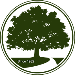 Harry Doyle doing tree work in the 2010s