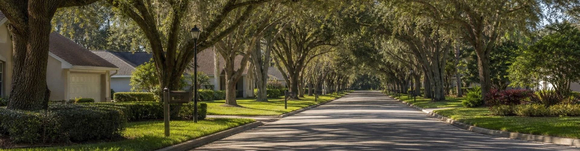 A tree-lined street in a Central Florida HOA community