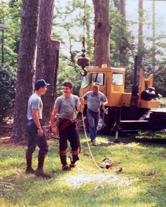 Harry Doyle doing tree work in the 1990s