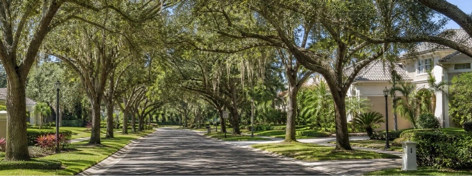 A tree-lined street in a Central Florida HOA community
